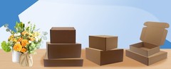 Pack of 20 Brown Corrugated Shipping Boxes 12x10x3 inch – Recyclable Mailer for