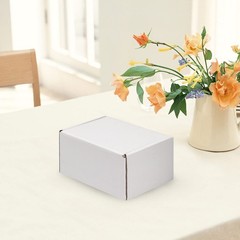 HORLIMER 6x4x3 inches Shipping Boxes Set of 25, White Corrugated Cardboard Bo…