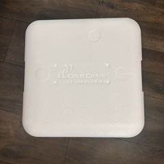 Insulated Styrofoam COOLER w/ shipping box | Cold chain Technologies 11”x11”x11”