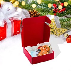 15 PCS Red Corrugated Cardboard Boxes Small Mailing Storage Gift 6x6x2 Inch