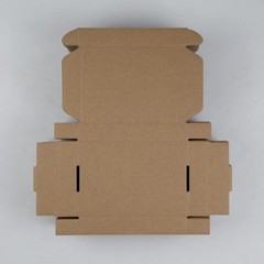 SUNLPH 50 Pack 6x4x1 Inches Small Shipping Boxes, White Corrugated Cardboard Box