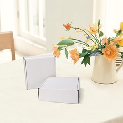 50 PCS 6x6x2 Inch White Corrugated Cardboard Shipping Boxes Literature Mailer