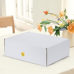 White Corrugated Shipping Box 12x9x4 – Easy Assembly for Small Business