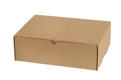 Mailer Boxes Small 9″L x 6 1/2″W x 1 3/4″H 50-Pack – Corrugated Cardboard Box…