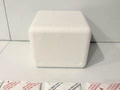 Styrofoam Insulated Cooler Shipping Container White Lid w/ Cold Gel Ice Packs