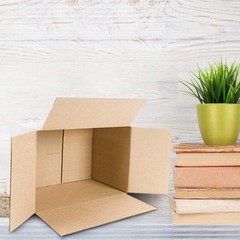 10x7x5 Inches White Shipping Boxes Set of 25
