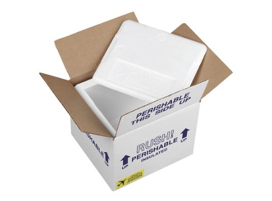 10.5 x 10.5 x 8 Overnite Insulated Shipper 3/4″ Foam Thermo Chill