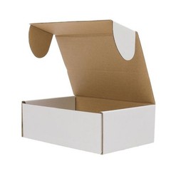 50 Pack 6x4x2 White Corrugated Shipping Mailer Packing Box Boxes Lightweight