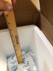 Styrofoam Insulated Medical Cooler 12″Hx12″Lx10″WwShipping Box 2 Gel Ice PacksDR