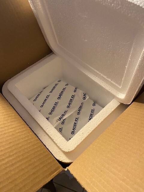 Styrofoam Insulated Medical Cooler With Outer Shipping Box and 2 Gel Ice Packs