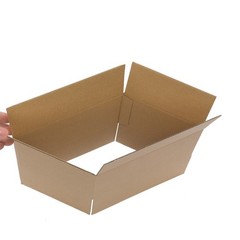 100 Shipping Boxes Mailing Packing 8x6x4 （20.3*15.2*10cm）Yellow