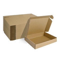 MEBRUDY 11x8x2 Inches Shipping Boxes Pack of 25, Small Corrugated Cardboard Box