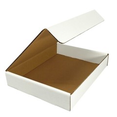 UBMOVE White Corrugated Mailer and Literature Boxes Sets of 50 (11″ x 8.75″ x 2″
