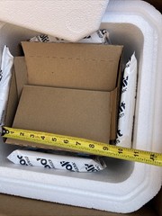 KoolTemp GTS EXCEL Insulated Shipping Box Styrofoam Cooler + Packs Cold 17×17