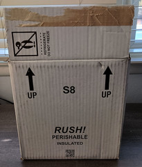 Insulated Box Styrofoam Cooler 8″ X 6″ X 8″ Interior re-usable shipping