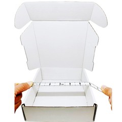 6x6x2 inch Small White Mailers Boxes Packaging Shipping Boxes Set of 10