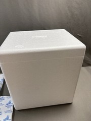 Styrofoam Shipping Box EFP Brand Cooler With Lid 6 1/4″X8 1/4″X9″ Interior