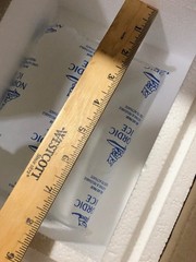 Insulated Styrofoam COOLER w/ shipping box | Cold refrigerated +ICE Pk 11x9x7”DR