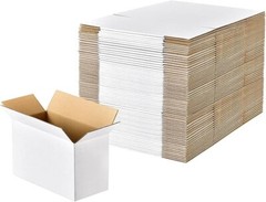 6X4X3 Inches Shipping Boxes Set of 28, White Corrugated Cardboard Box Literature