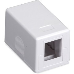 Black Box Surface Mount Housing Port Value Line – 1 x Socket(s) – White (SMH1_3)