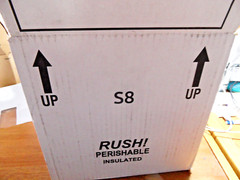 Insulated Box Styrofoam Cooler 8″X 6″X 9″x Interior re-usable shipping