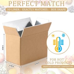 Insulated Shipping Boxes Foil Foam Cooler Carton Inside 8.7×4.5×6.1 In 6 PCS