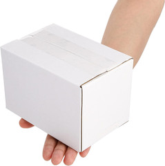 40 Pack Small Cardboard Boxes, 6 X 4 X 4 Inches Mailing Boxes, Corrugate