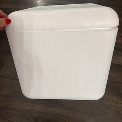 Insulated Styrofoam COOLER w/ shipping box | Cold chain Technologies 11”x11”x11”
