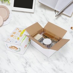 40 Pack Small Shipping Boxes 8x6x4 Inches, White Corrugated Cardboard Mailing…