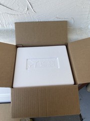 Uline Insulated Foam Shipper Box Cooler Meds Food Taxidermy, Includes Cold Packs
