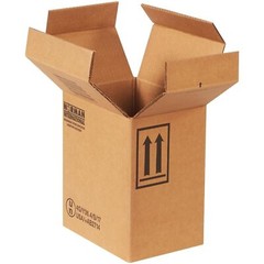 20 9″ x 6-11/16″ x 10-1/4″ 2 – 1 Gallon F-Style Hazardous Material Boxes