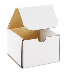 100 – 4 x 4 x 3″ Shipping Boxes White Indestructo Mailers Heavy Duty Uline S-426