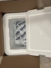 Insulated Styrofoam COOLER w/ shipping box | Cold refrigerated + 2 ICE Pk