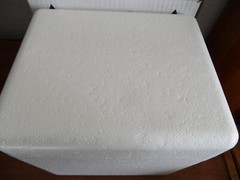 Insulated Box Styrofoam Cooler 8″X 6″X 9″x Interior re-usable shipping