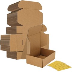 50 Pack 6x4x2 Inch Brown Corrugated Cardboard Shipping Literature Mailer