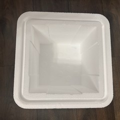 Insulated Styrofoam COOLER w/ shipping box | Cold chain Technologies 11”x11”x11”