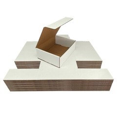 UBMOVE White Corrugated Mailer and Literature Boxes Sets of 50 (11″ x 8.75″ x 2″