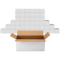 25 White 10x6x4 Shipping Boxes, Corrugated Cardboard