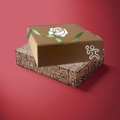 Pack of 20 Brown Corrugated Shipping Boxes 12x10x3 inch – Recyclable Mailer for