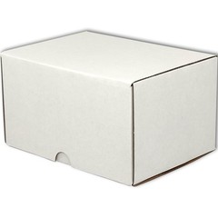 50 PCS 7x5x4 Inch White Shipping Boxes Mailer Corrugated Cardboard Packaging