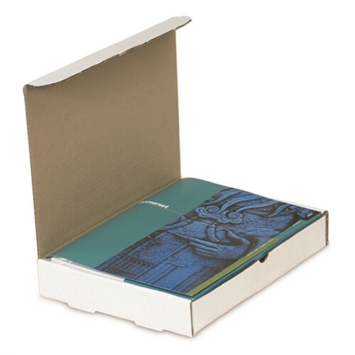 100 – 11 1/2×11 1/2×3 3/4″ Protective Literature Mailer- White