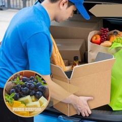Insulated Shipping Box Cold Double Carton Foil Foam Cooler 8.7×4.5×6.1″ 10 PCS