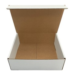 UBMOVE White Corrugated Mailer and Literature Boxes Sets of 50 (11″ x 8.75″ x 2″