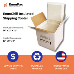 SF16A Insulated Shipping Cooler, 16″ x 12″ x 12″ (Inner 13 x 9 x 9) w/ 2 packs