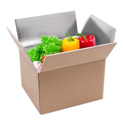 20 Pack Insulated Shipping Boxes – 440 lbs Capacity for Cold & Hot Items