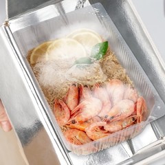 Insulated Shipping Boxes Foil Foam Cooler Carton Inside 8.7×4.5×6.1 In 6 PCS