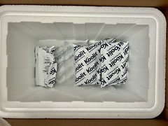 KoolTemp Large Insulated Shipping Box Styrofoam Cooler + Gel Packs Cold 22x14x15