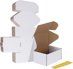 10 Pack 6X4X3 Shipping Boxes, White Corrugated Cardboard Box for Mailing, Packag