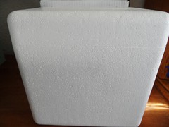 Insulated Box Styrofoam Cooler 8″X 6″X 9″x Interior re-usable shipping