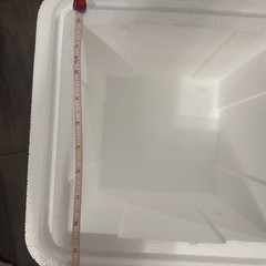 Insulated Styrofoam COOLER w/ shipping box | Cold chain Technologies 11”x11”x11”